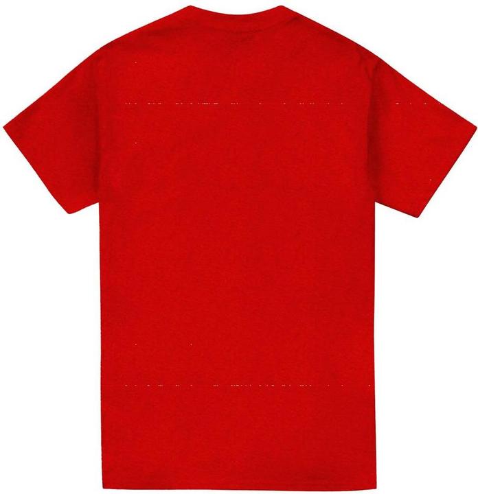 Actual product image Unisex Adult Red Hulk Roar T-Shirt (M)
