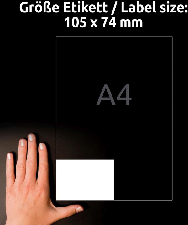 Actual product image Avery Recycling Universal Labels