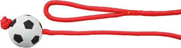 Actual product image Trixie Football on the rope (Ball toy dog)