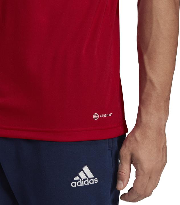 Actual product image adidas Entrada 22 polo shirt men (XS)