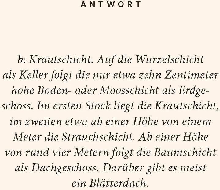 Actual product image Wald-Quiz (German, Birte Stährmann, Martin Stährmann, 2024)