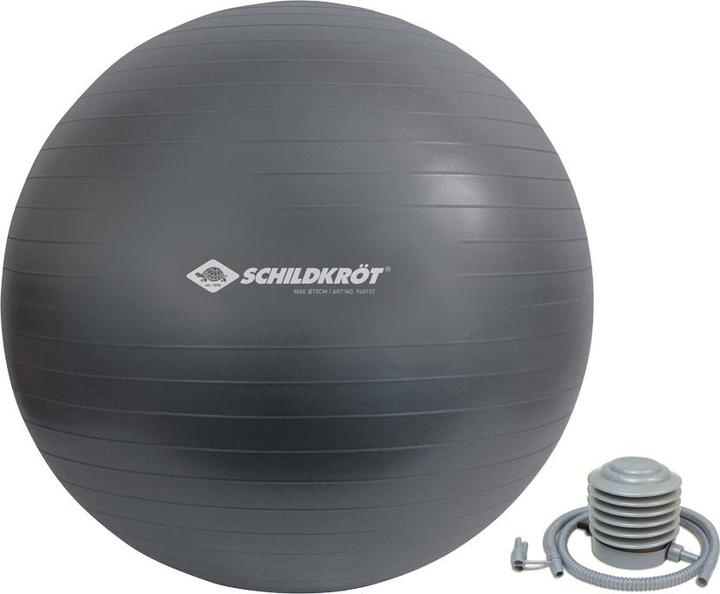 Actual product image Schildkröt Gym ball (75 cm)