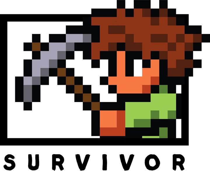 Actual product image Terraria Unisex Adult Survivor Hoodie (L)