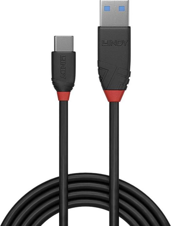 Actual product image Lindy black line (1.50 m, USB 3.1)