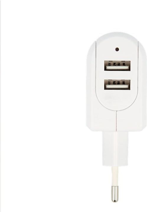 Actual product image Skross Euro USB Charger (17 W)