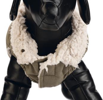 Immagine prodotto Designed by Lotte Cappotto per cani Philos (XXXL, Cappotto per cani)