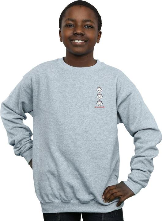 Image du produit Disney - Sweat ARISTOCATS MARIE BREAST PRINT - Garçon (116)