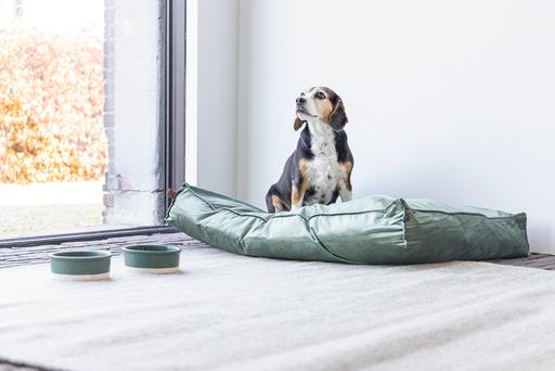 Actual product image Designed by Lotte Dog pillow Nalino (Dog)