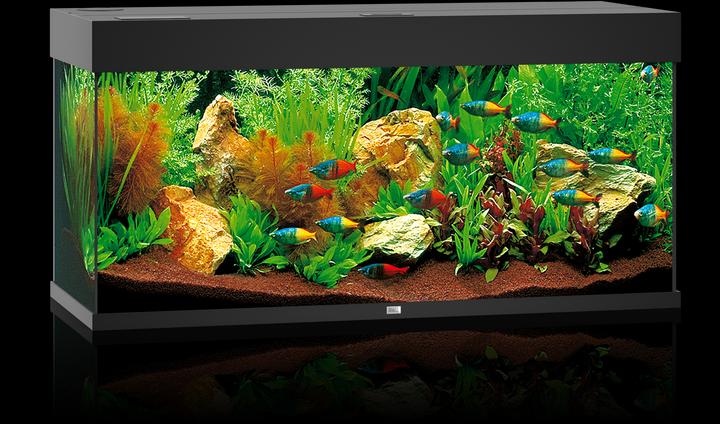 Produktbild Juwel Aquarium Rio (180 l)