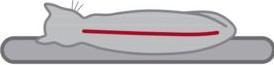 Actual product image Trixie Emil (96 cm, Light grey)
