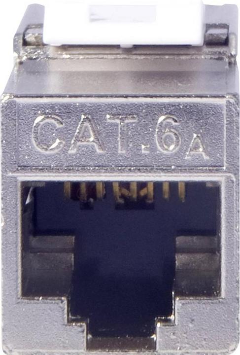Productafbeelding Digitus CAT 6A Keystone Module, gesch. (Keystone module)