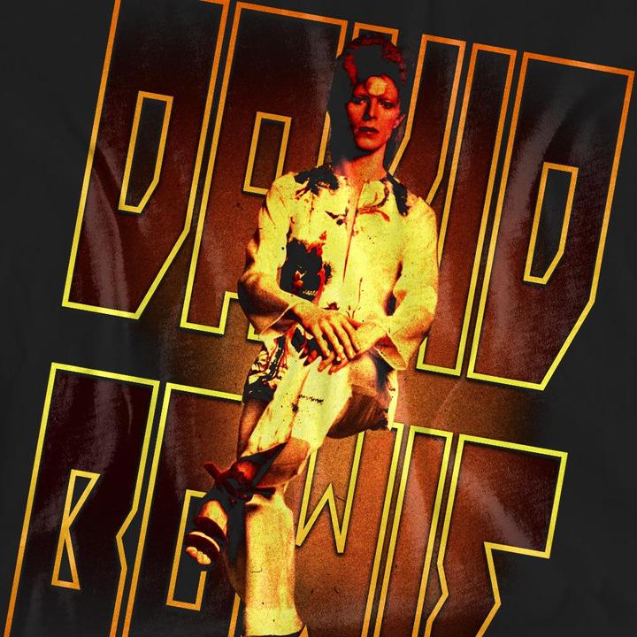 Produktbild David Bowie Perched TShirt (L)
