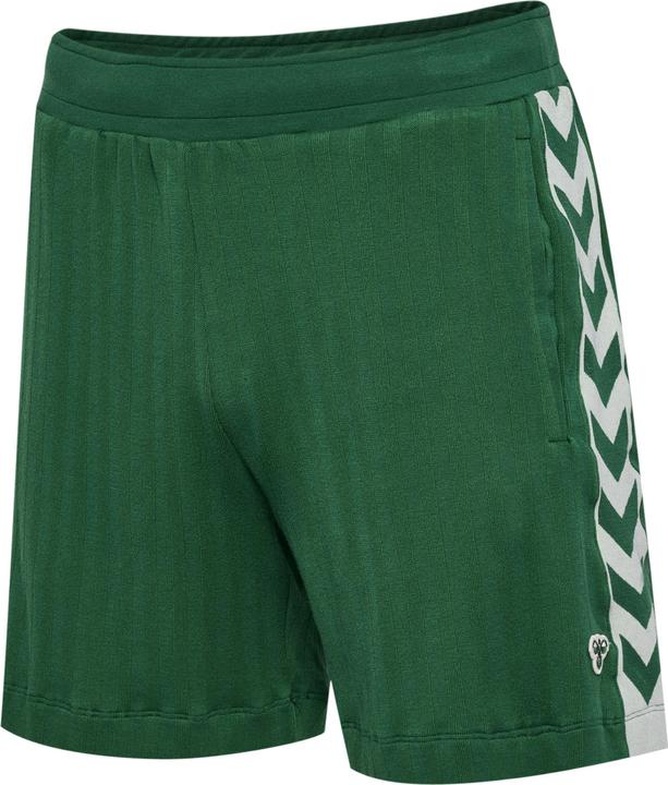 hummel Hmlarchive Regular Shorts (S)