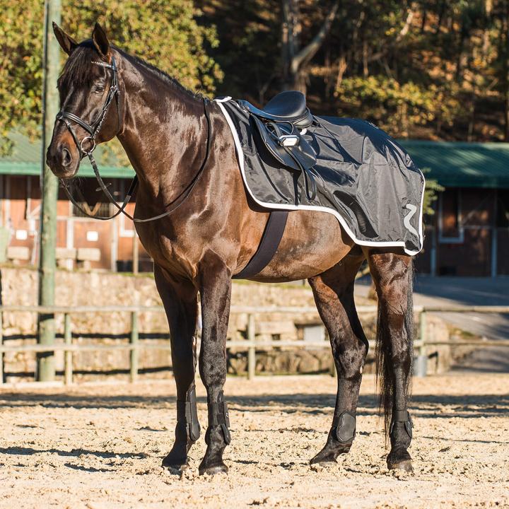 Actual product image Horze Protrek (145 cm)