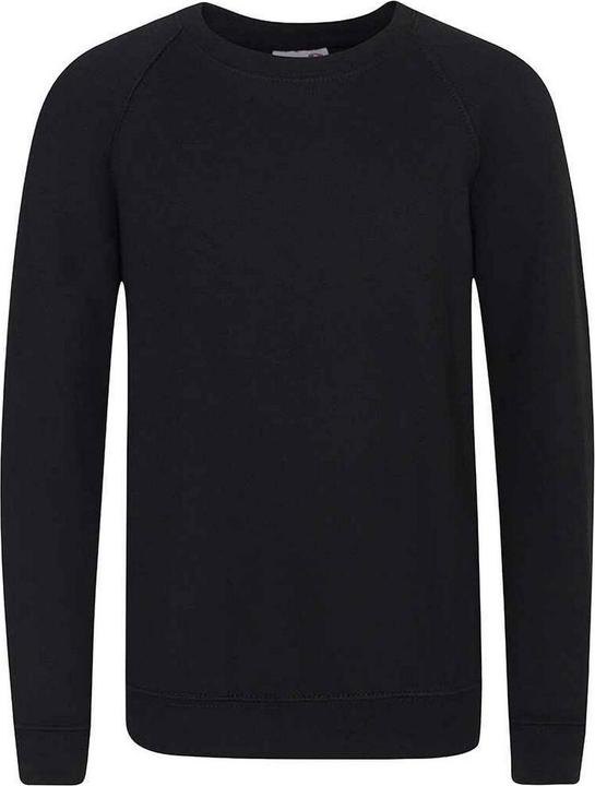 Actual product image Awdis Childrens/Kids Academy Raglan Sweatshirt (128)