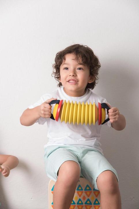 Actual product image Plantoys Accordion
