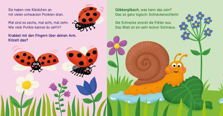 Produktbild Baby Pixi (unkaputtbar) 160: Wer kribbelt und krabbelt denn da? (Deutsch)