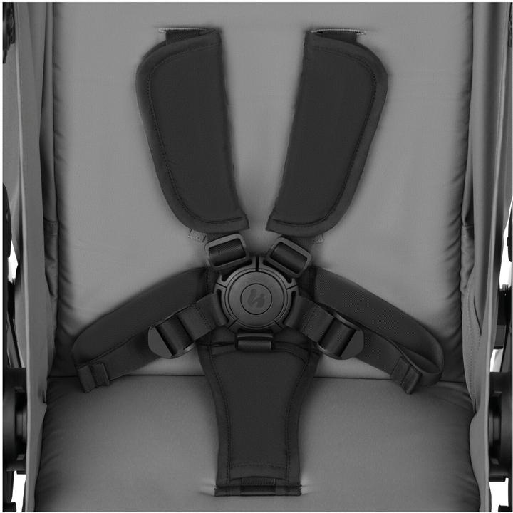 Actual product image Hauck Shop N Care