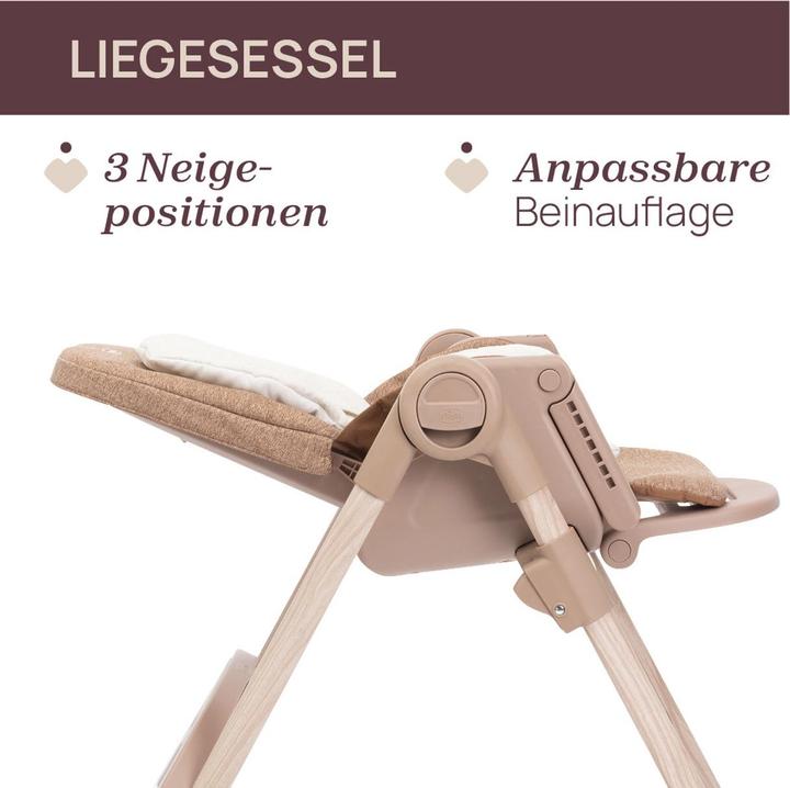 Actual product image Chicco Polly Armonia (High chair booster seat)