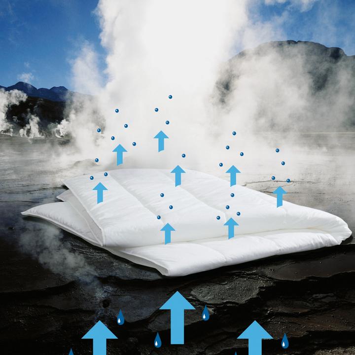 Actual product image Centa-Star Famous (440 g, 200 x 220 cm)