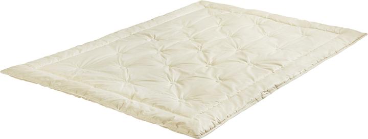 Produktbild F.A.N. Steppbett (1200 g, 155 x 220 cm)