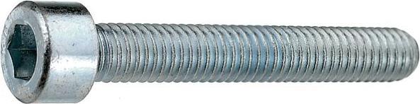 Actual product image Werkstarck Metal screws cylinder head (100 Screws per piece)