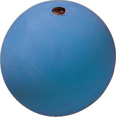 3000 g