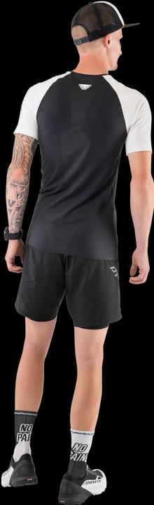Actual product image Dynafit No Pain No Gain Socks Unisex (39 - 42)