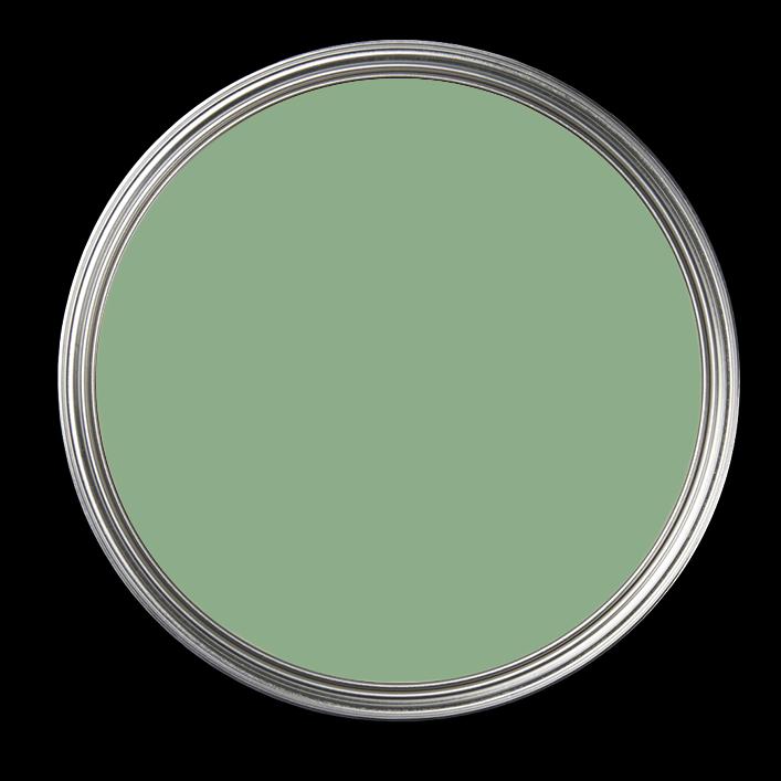 Ginkgo 057