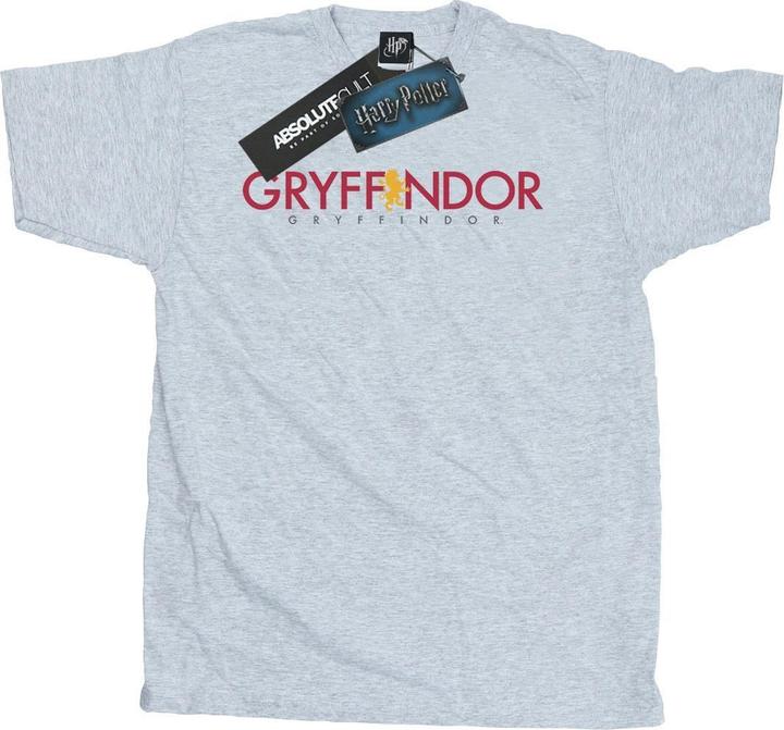 Actual product image Mens Gryffindor Text T-Shirt (S)