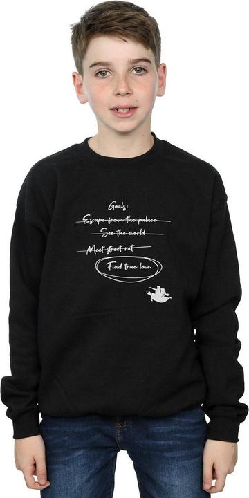 Produktbild Disney Aladdin Jasmine Goals Sweatshirt Jungen (152, 158)