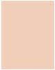 Actual product image Makeup Revolution Baking Powder (Lace)