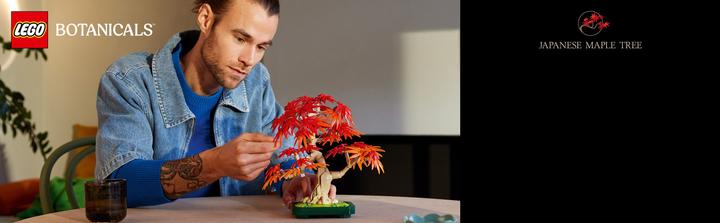 Produktbild LEGO Japanischer Roter Ahorn - Bonsai-Baum (10348, LEGO Botanical)