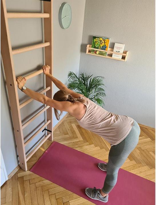Produktbild BenchK Sprossenwand System 100