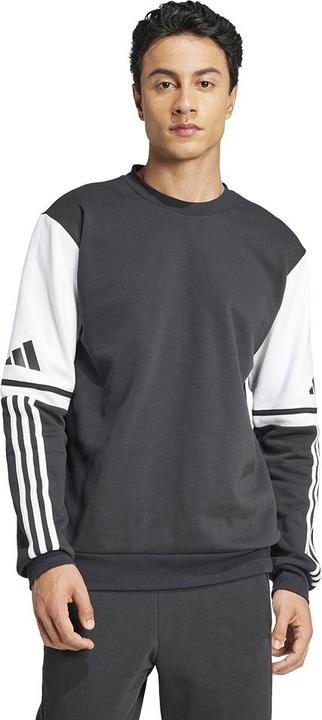 Actual product image adidas Squadra 25 SW CREW (L)