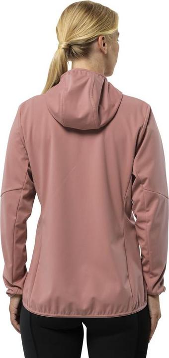 Immagine prodotto Jack Wolfskin Feldberg Hoody W (L)