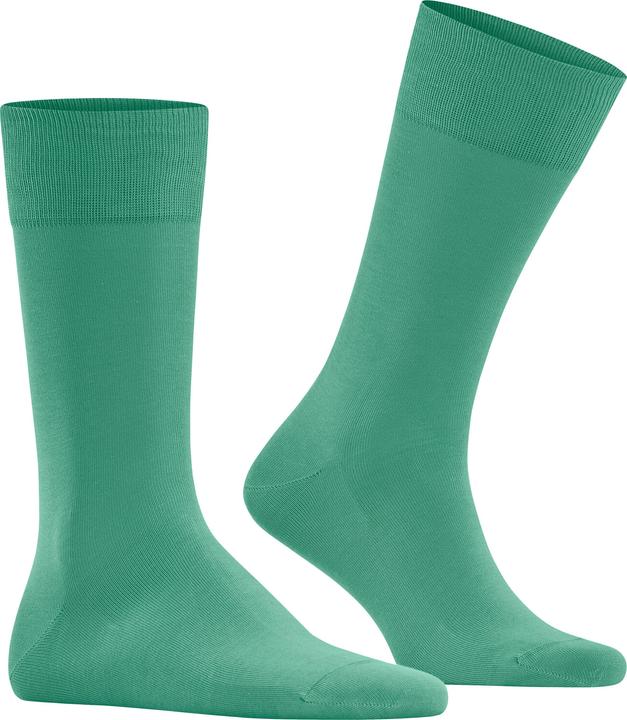 Image du produit Falke Cool 24/7 Men (43 - 44)