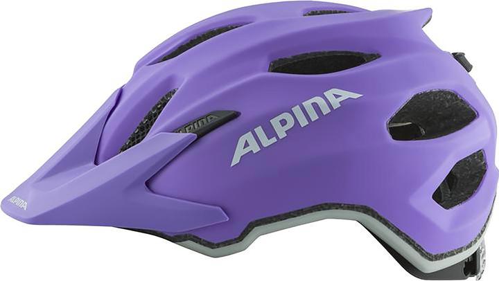 Image du produit ALPINA SPORTS Carapax Jr Flash (56 cm)