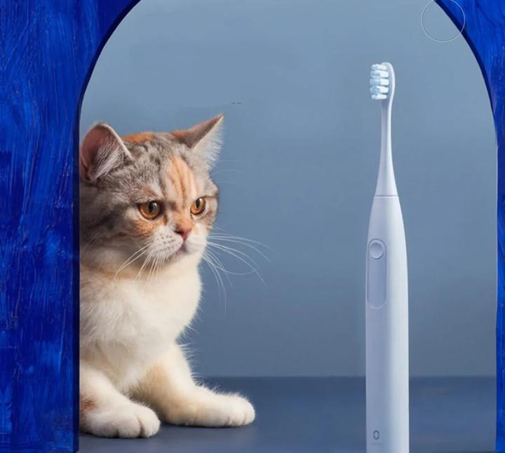 Produktbild Oclean Sonic (Schallzahnbürste)