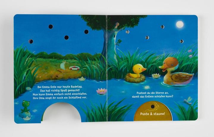 Image du produit Mein Puste-Licht-Buch: Wenn im Dunkeln Sterne funkeln (Allemand, Christina Nömer, 2020)
