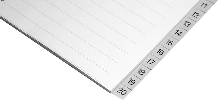Actual product image Biella Indexes full size made of PP, light grey, with index sheet