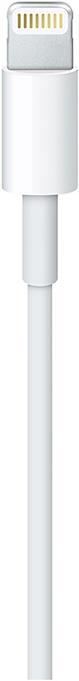 Actual product image USB-C to Lightning (1 m, USB 3.0)