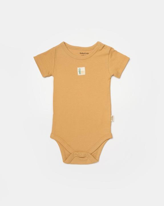 Actual product image BabyCosy 2 Pcs short sleeved Body (62)