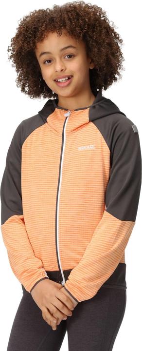 Produktbild Regatta Prenton II Softshelljacke mit Kapuze (116)