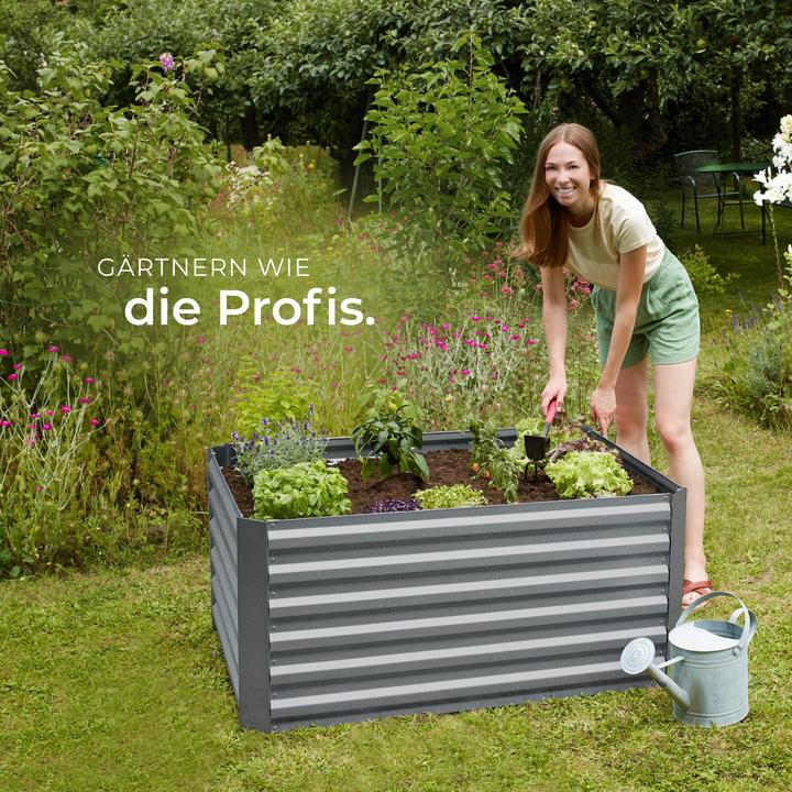 Produktbild tectake Salvia