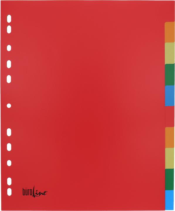 Actual product image BüroLine Index PP coloured A4+
