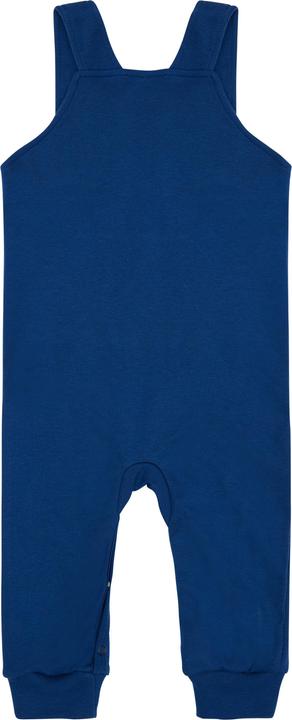 Actual product image loud + proud Dungarees (68)