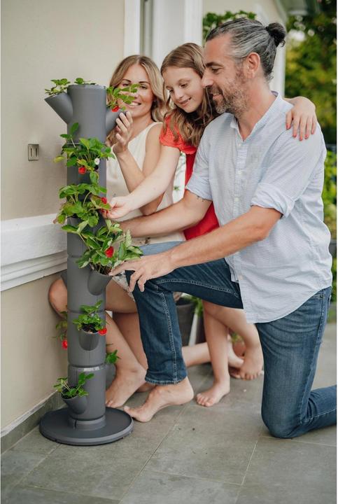 Image du produit Gusta Garden Sissi Fraise (27 cm)