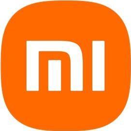 Xiaomi Charger (10000 mAh, 165 W, 36 Wh)