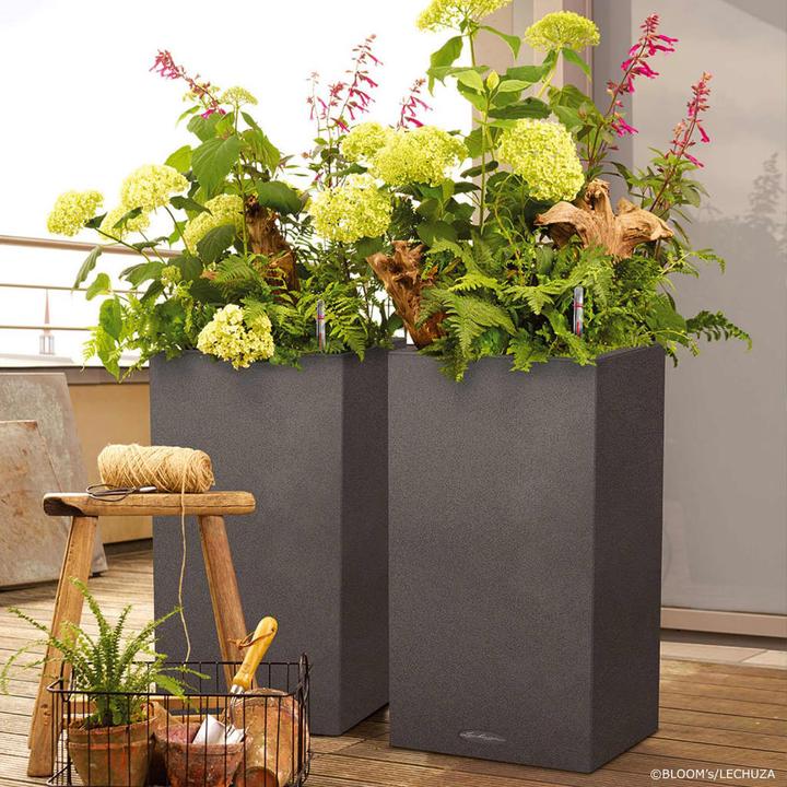 Image du produit Lechuza Canto Stone (40 cm)